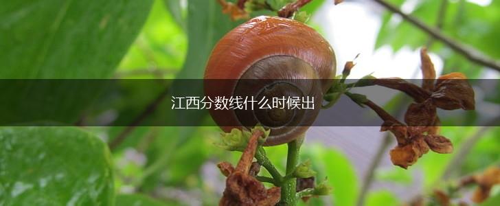 江西分数线什么时候出,第1张