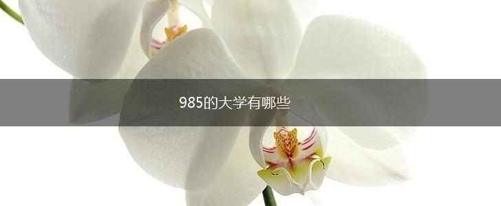 985的大学有哪些,第1张
