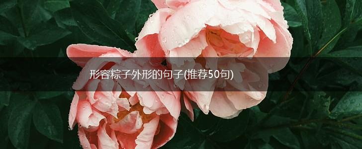 形容粽子外形的句子(推荐50句),第1张