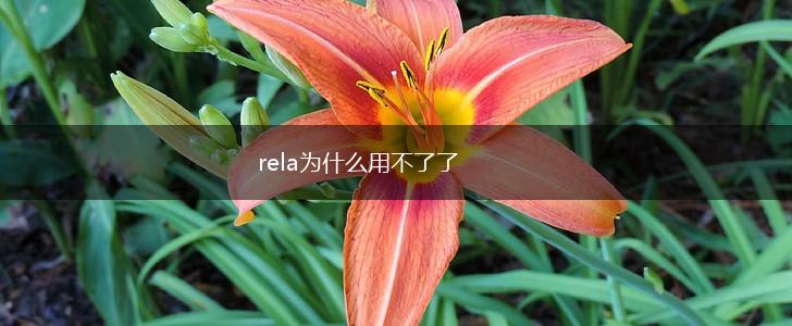 rela为什么用不了了,第1张