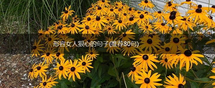 形容女人狠心的句子(推荐80句),第1张