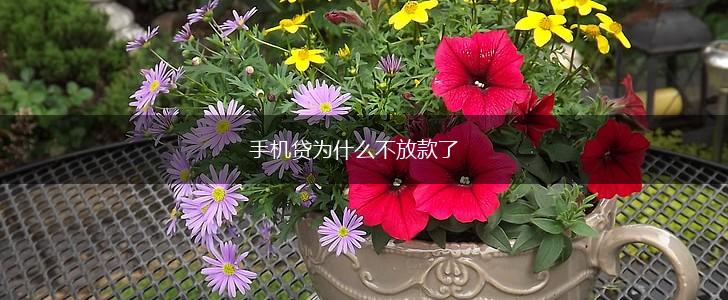 手机贷为什么不放款了,第1张