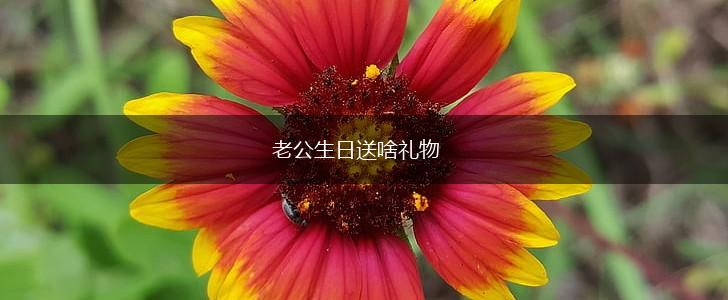 老公生日送啥礼物,第1张