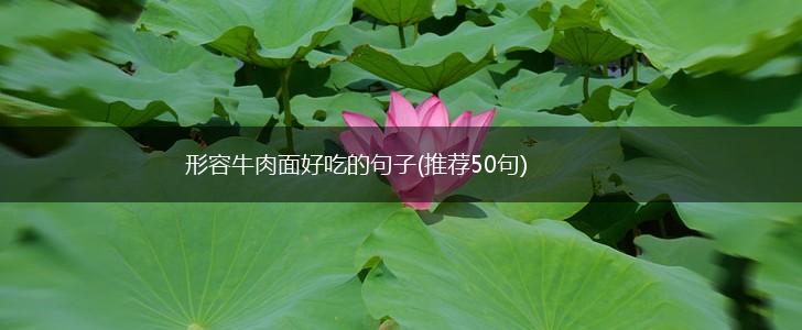 形容牛肉面好吃的句子(推荐50句),第1张