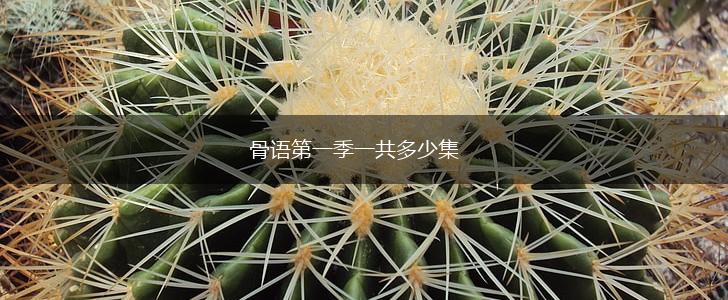 骨语第一季一共多少集,第1张