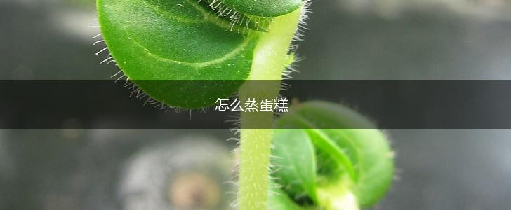 怎么蒸蛋糕,第1张