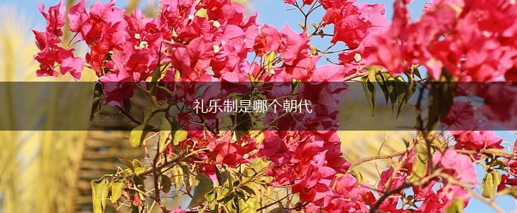 礼乐制是哪个朝代,第1张
