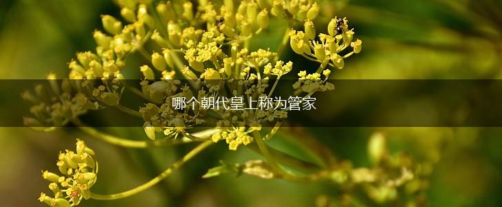 哪个朝代皇上称为管家,第1张