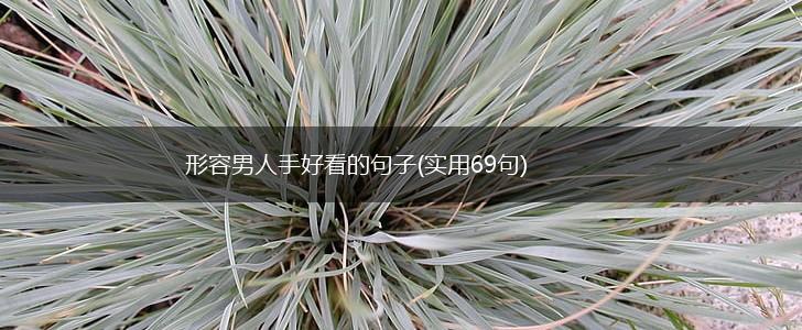 形容男人手好看的句子(实用69句),第1张