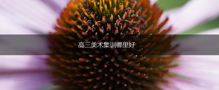 高三美术集训哪里好,第1张