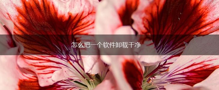 怎么把一个软件卸载干净,第1张