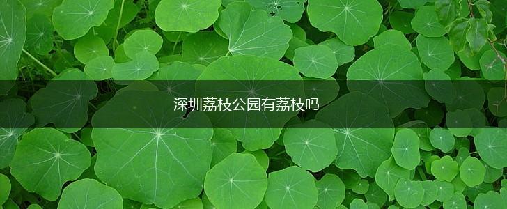 深圳荔枝公园有荔枝吗,第1张