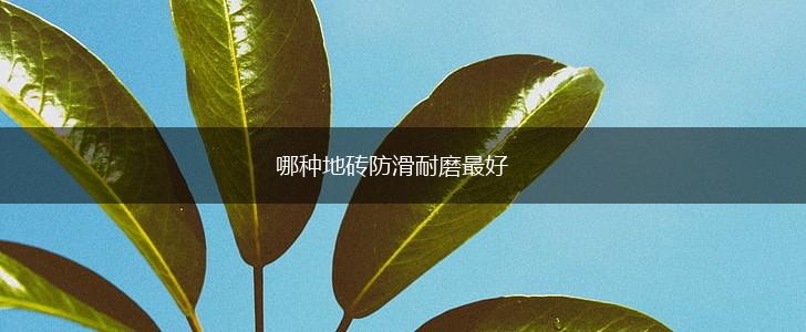 哪种地砖防滑耐磨最好,第1张