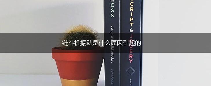 链斗机振动是什么原因引起的,第1张