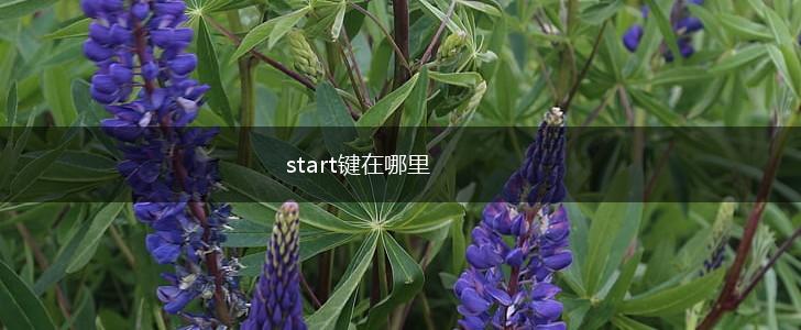 start键在哪里,第1张