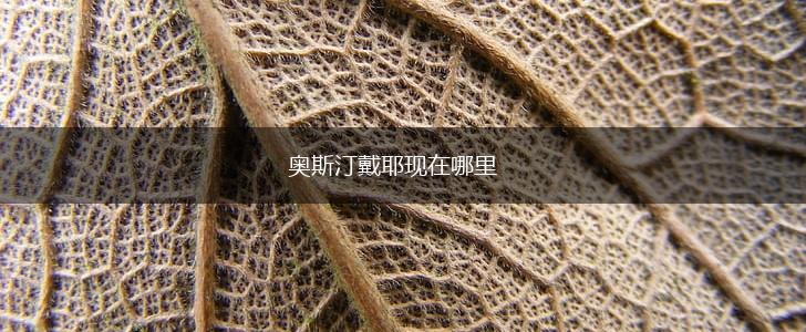 奥斯汀戴耶现在哪里,第1张