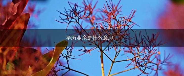 学历业余是什么意思,第1张