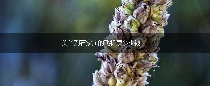 美兰到石家庄的飞机票多少钱,第1张