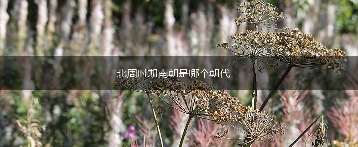 北周时期南朝是哪个朝代,第1张
