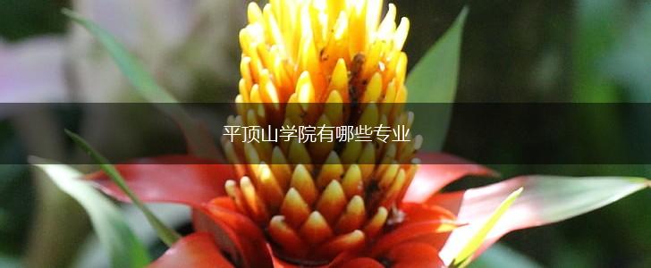 平顶山学院有哪些专业,第1张