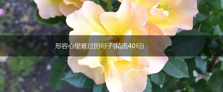 形容心里难过的句子(精选40句),第1张