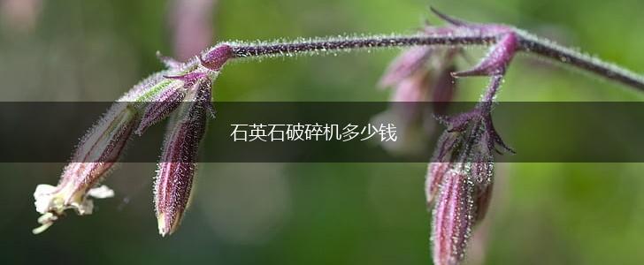 石英石破碎机多少钱,第1张