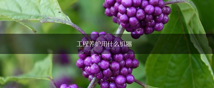 工程养护用什么机器,第1张