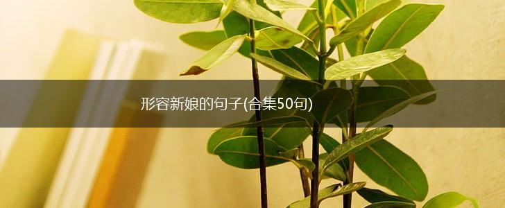 形容新娘的句子(合集50句),第1张