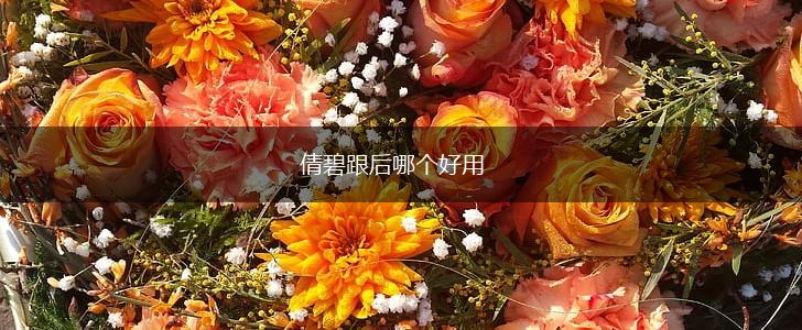 倩碧跟后哪个好用,第1张