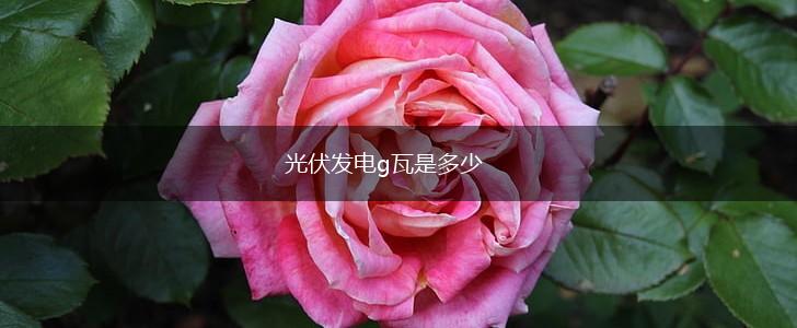 光伏发电g瓦是多少,第1张