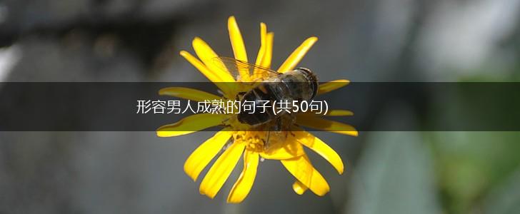 形容男人成熟的句子(共50句),第1张