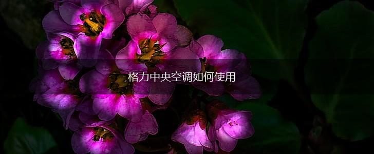 格力中央空调如何使用,第1张
