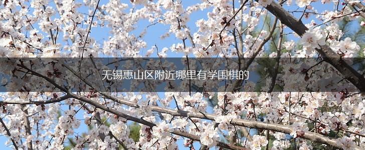 无锡惠山区附近哪里有学围棋的,第1张