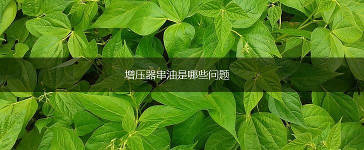 增压器串油是哪些问题,第1张