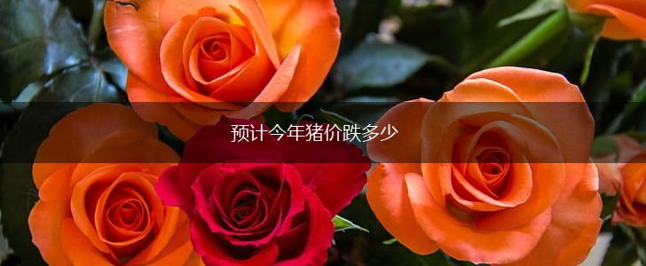 预计今年猪价跌多少,第1张