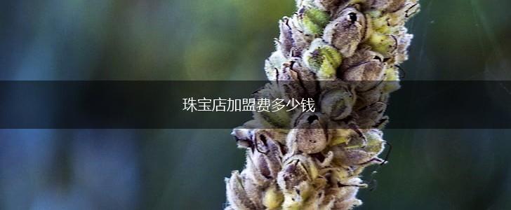 珠宝店加盟费多少钱,第1张