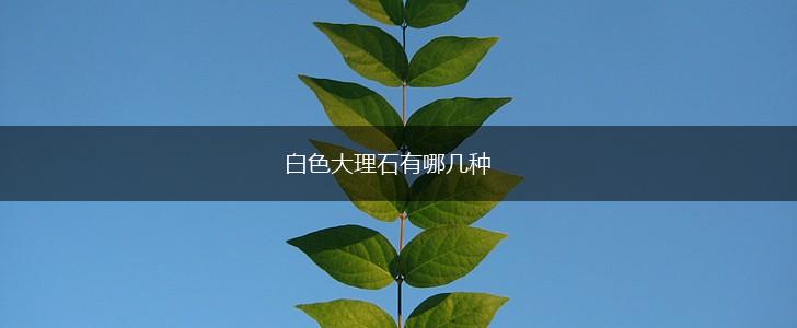 白色大理石有哪几种,第1张