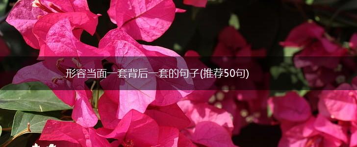 形容当面一套背后一套的句子(推荐50句),第1张