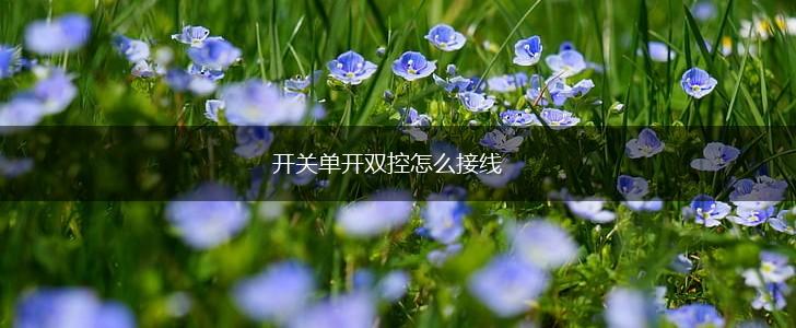 开关单开双控怎么接线,第1张