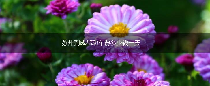 苏州到成都动车费多少钱一天,第1张