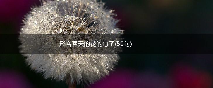 形容春天的花的句子(50句),第1张
