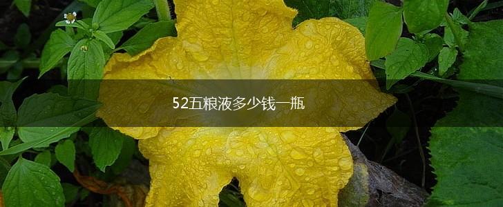 52五粮液多少钱一瓶,第1张