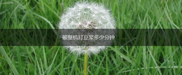 破壁机打豆浆多少分钟,第1张