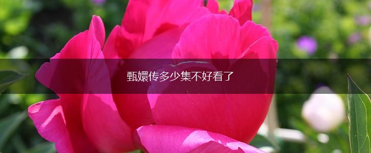 甄嬛传多少集不好看了,第1张