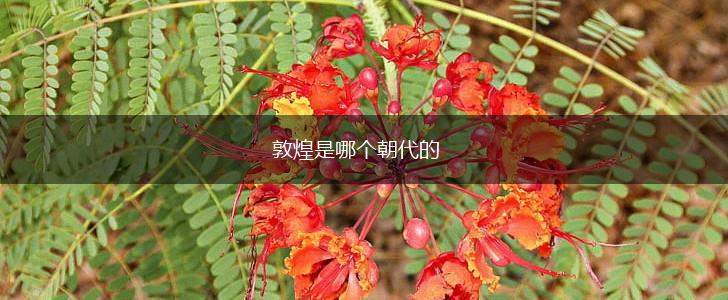 敦煌是哪个朝代的,第1张