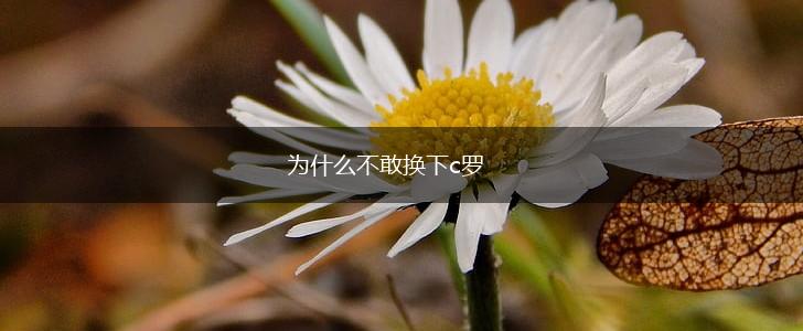 为什么不敢换下c罗,第1张