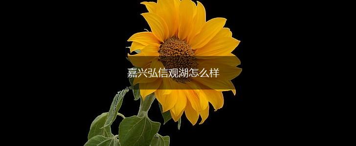 嘉兴弘信观湖怎么样,第1张