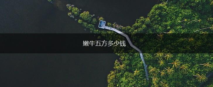 嫩牛五方多少钱,第1张