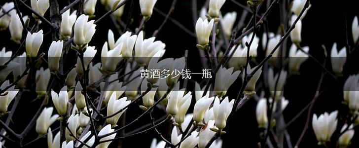 黄酒多少钱一瓶,第1张