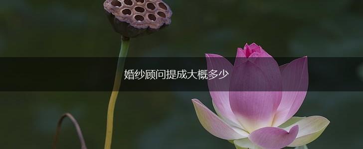 婚纱顾问提成大概多少,第1张